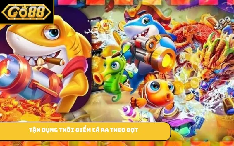 Tận dụng thời điểm cá ra theo đợt